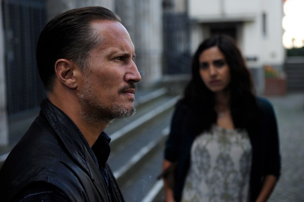 Von glücklichen Schafen